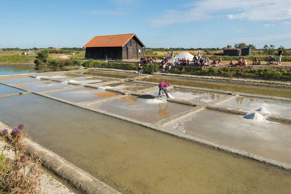Photo of Outdoor in Saint-Hilaire-de-Riez