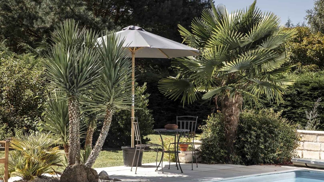 Photo of Outdoor in Panazol