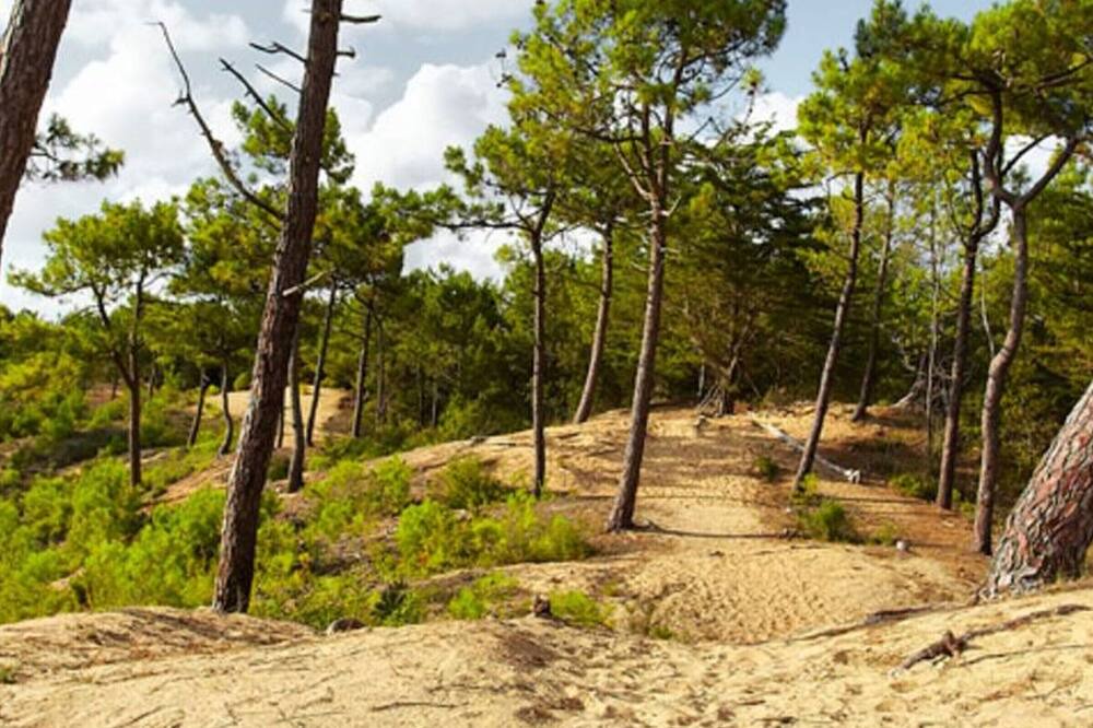 Photo of Outdoor in Saint-Hilaire-de-Riez