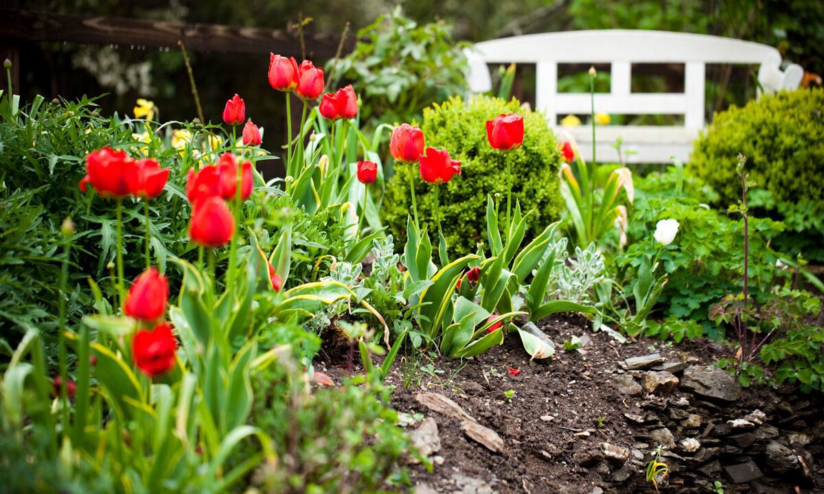 Photo of Outdoor in Probus