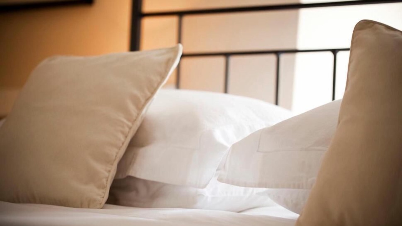 Photo of Others in Probus