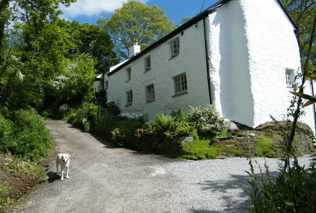 Photo of Outdoor in Probus