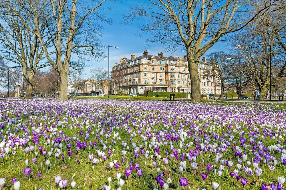 Photo of Outdoor in Harrogate