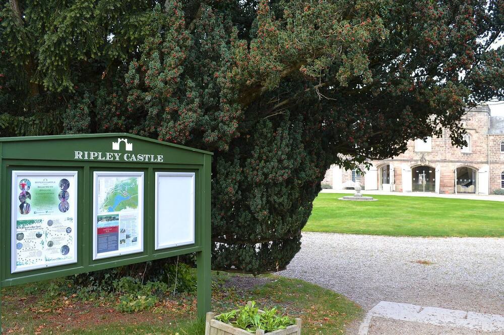 Photo of Outdoor in Harrogate