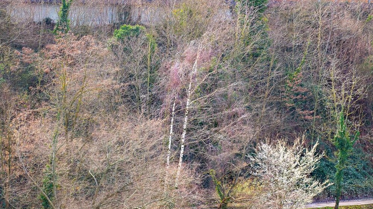 Photo of Outdoor in Stein