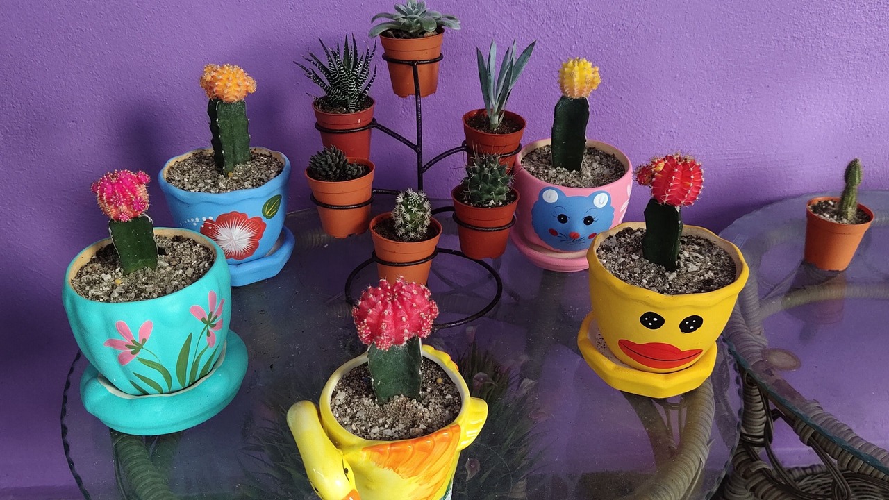 Photo of Outdoor in Kuala Teriang