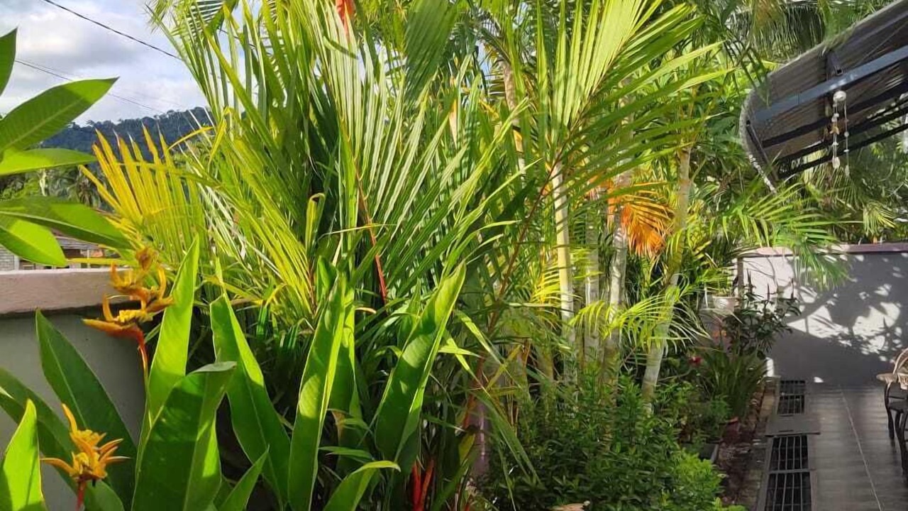 Photo of Outdoor in Kuala Teriang