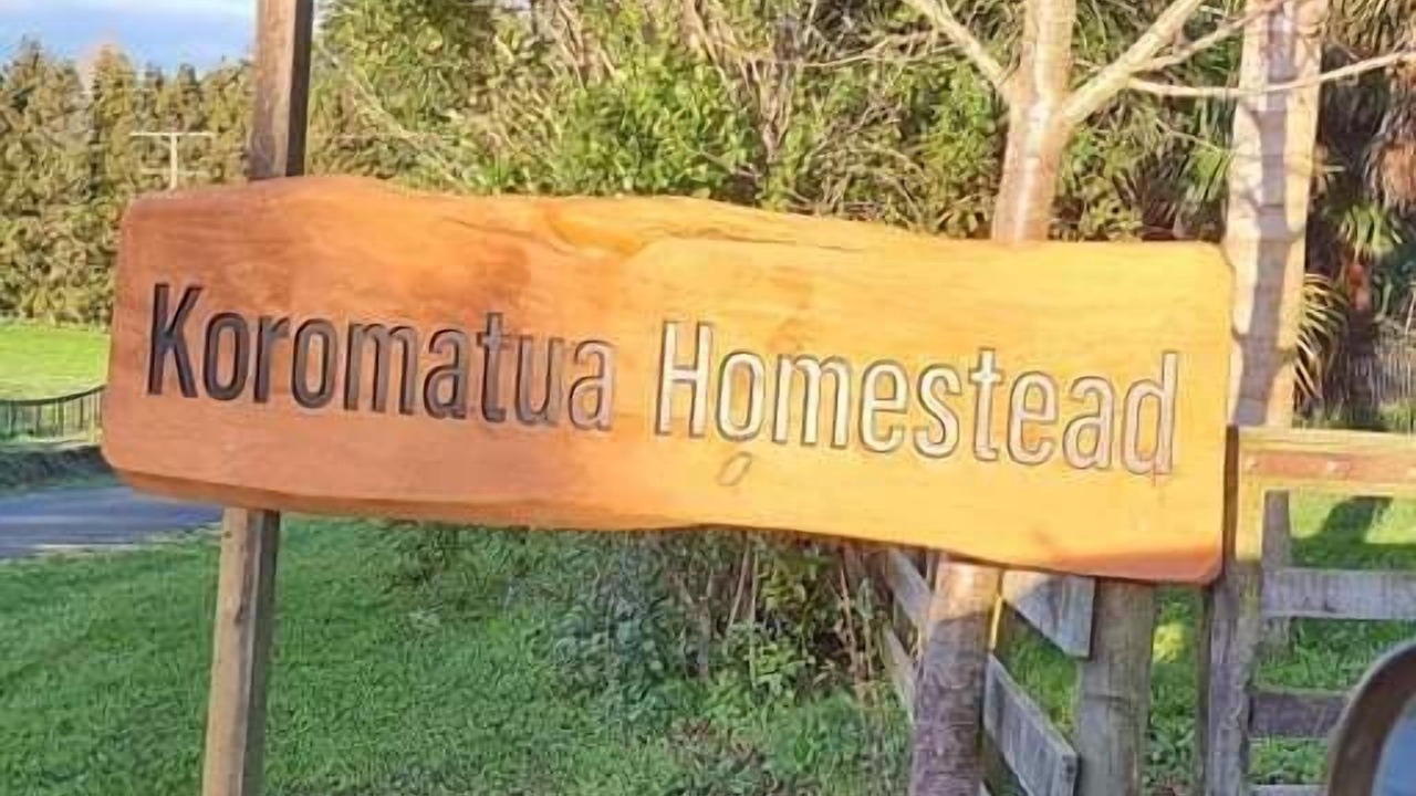 Photo of Outdoor in Ngahinapouri