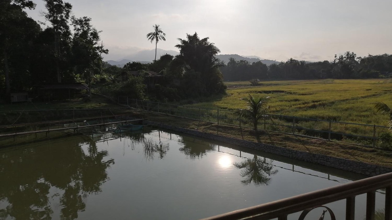 Photo of Outdoor in Kampung Beluru