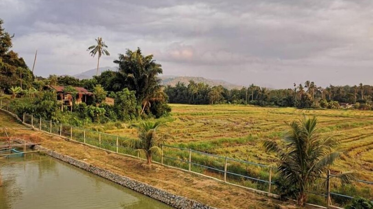 Photo of Outdoor in Kampung Beluru
