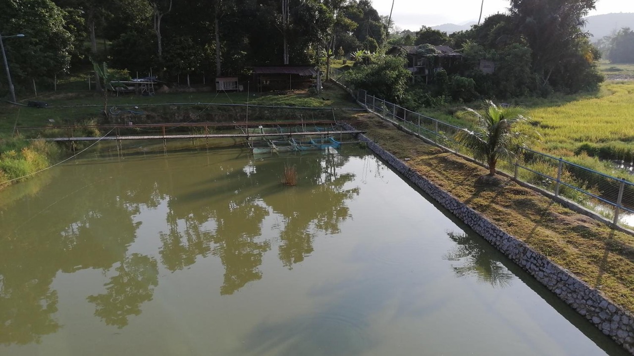 Photo of Outdoor in Kampung Beluru