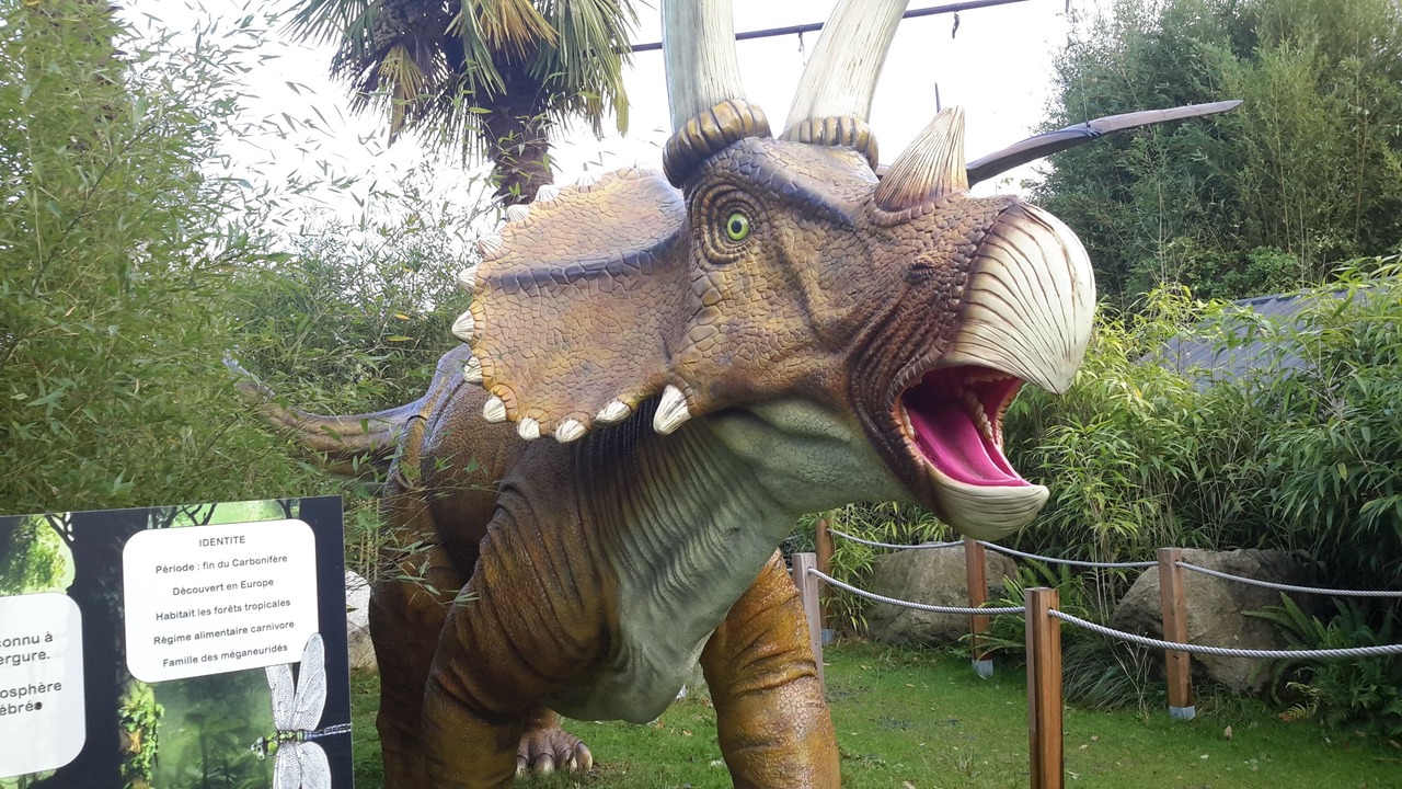 Photo of Others in Arthez-d'Asson