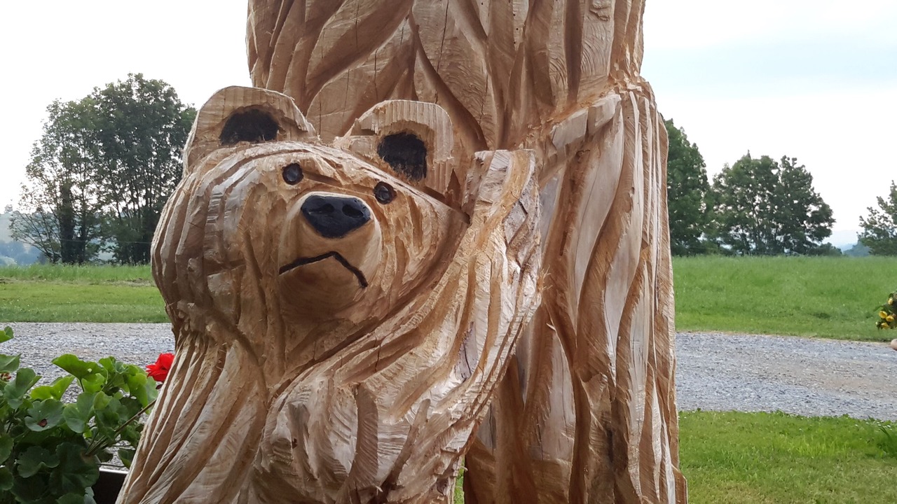 Photo of Outdoor in Arthez-d'Asson