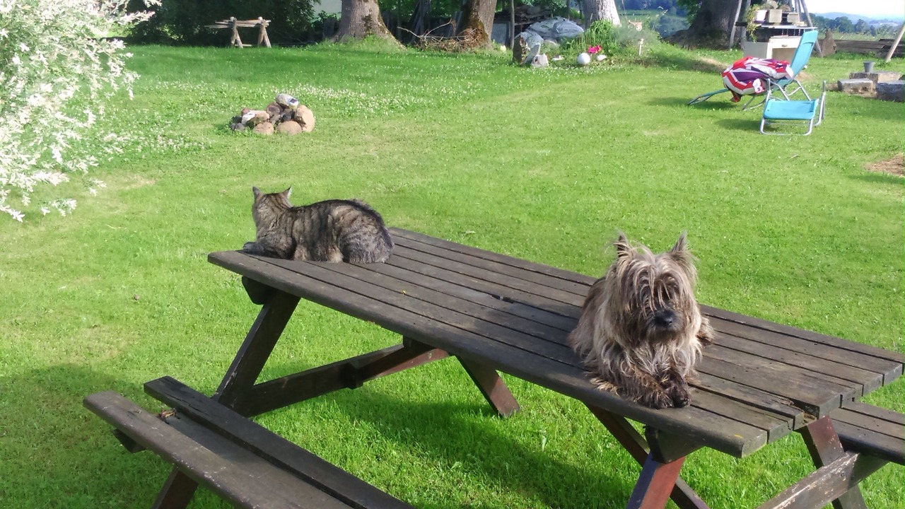 Photo of Outdoor in Arthez-d'Asson