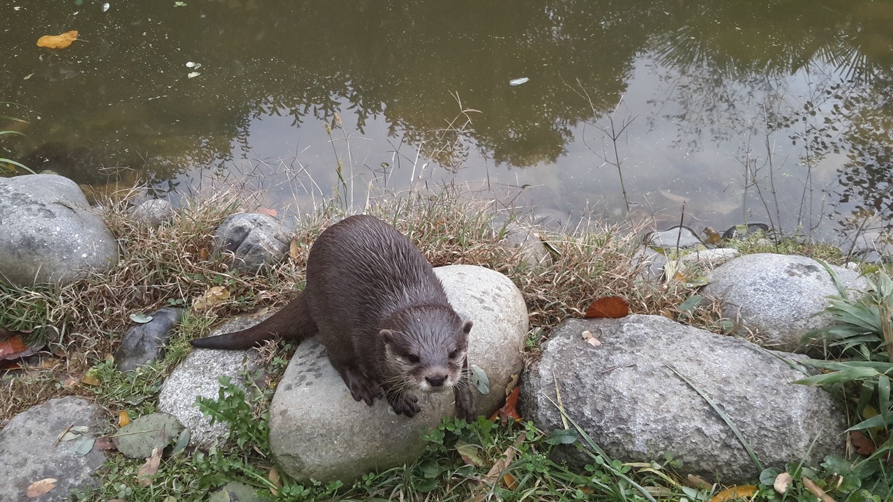 Photo of Others in Arthez-d'Asson