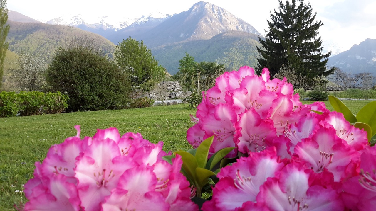 Photo of Outdoor in Arthez-d'Asson