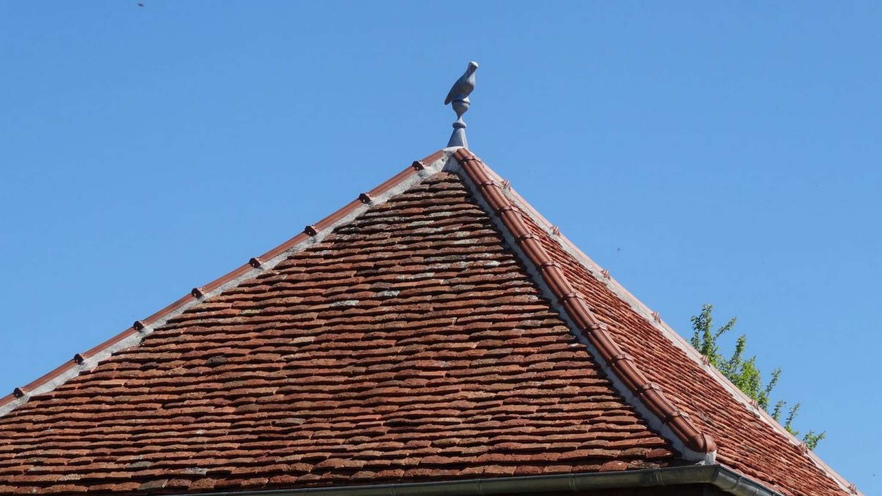 Photo of Outdoor in Saint-Eloi