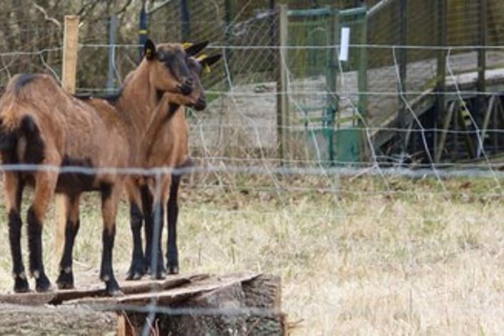 Photo of Others in Epinac