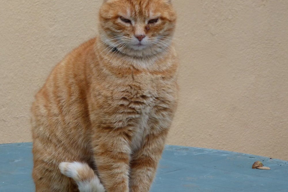 Photo of Others in Epinac