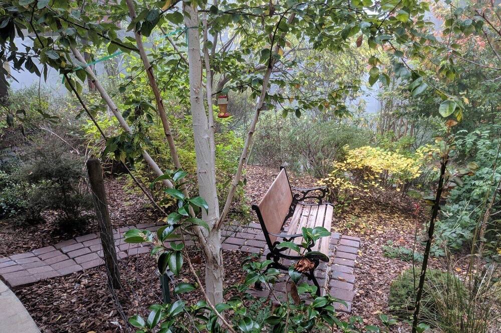Photo of Outdoor in Fieldbrook