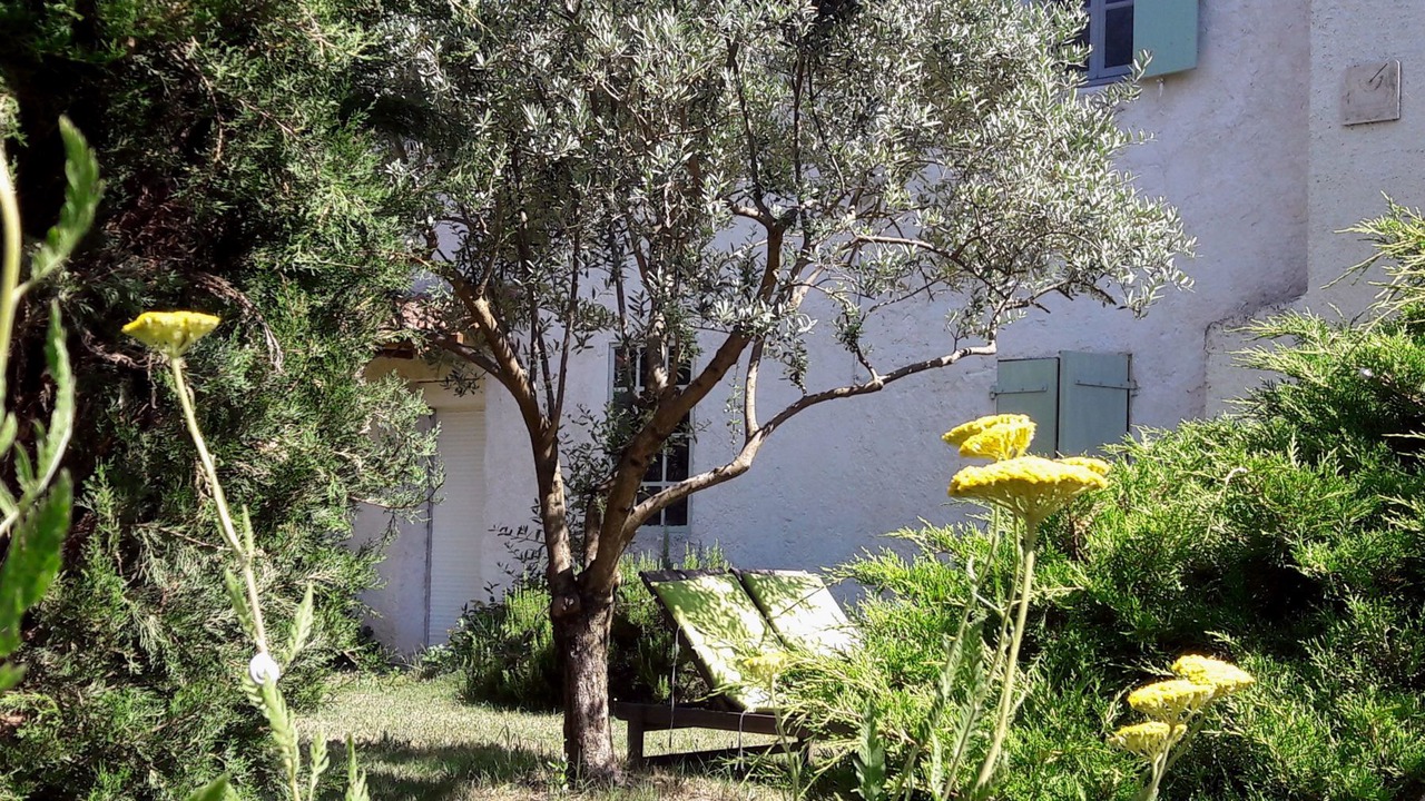 Photo of Outdoor in Niozelles