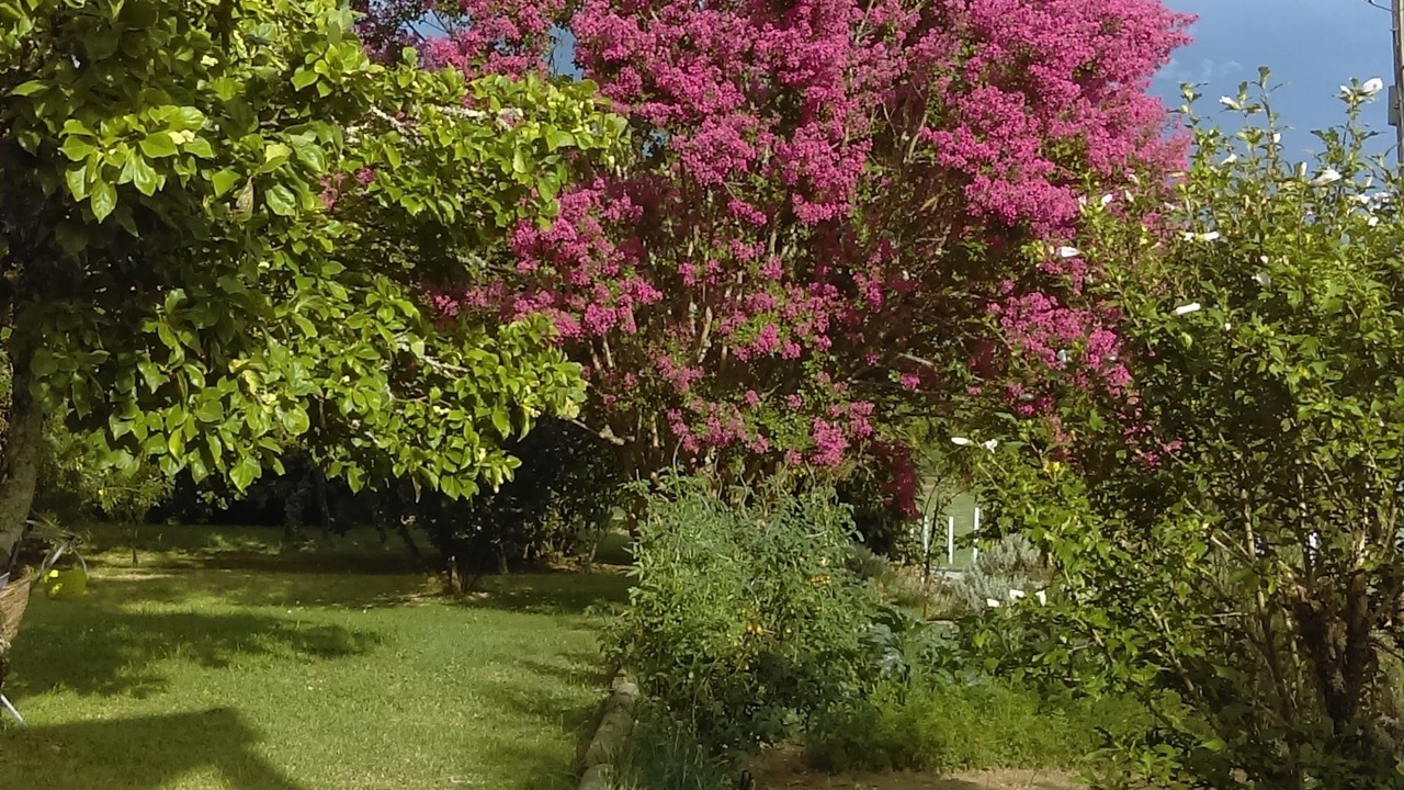 Photo of Outdoor in Douville