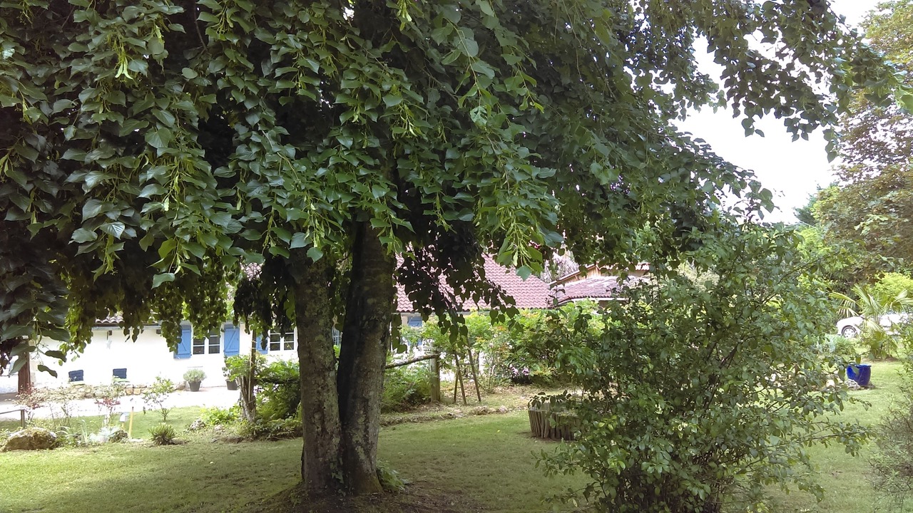 Photo of Outdoor in Douville