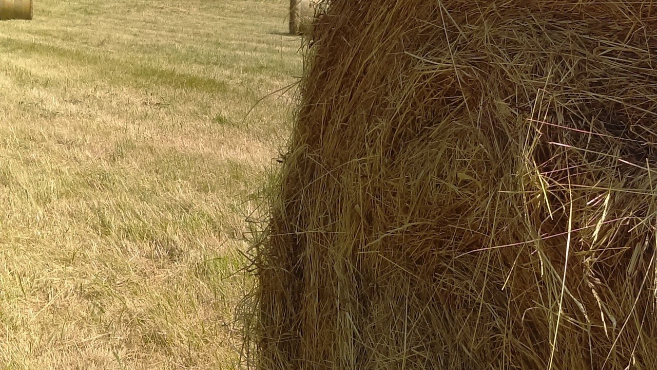 Photo of Outdoor in Douville