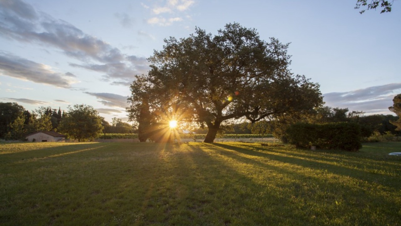 Photo of Outdoor in Palau-del-Vidre