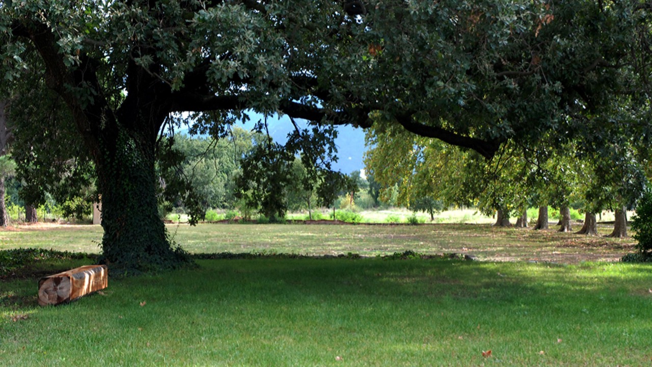 Photo of Outdoor in Palau-del-Vidre
