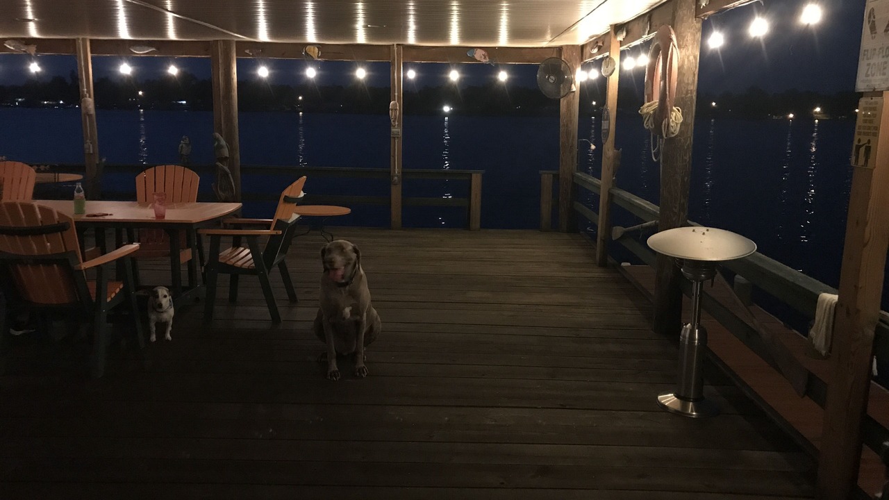 Photo of Outdoor in Oscar