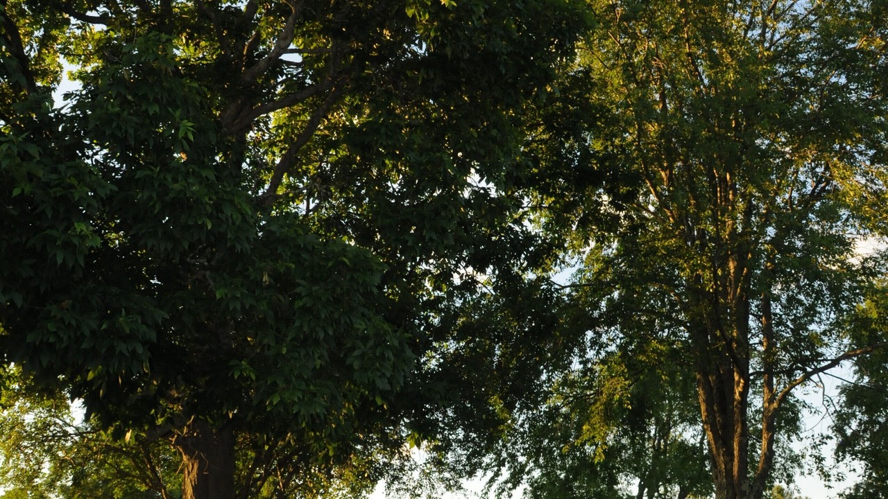 Photo of Outdoor in New Marlborough