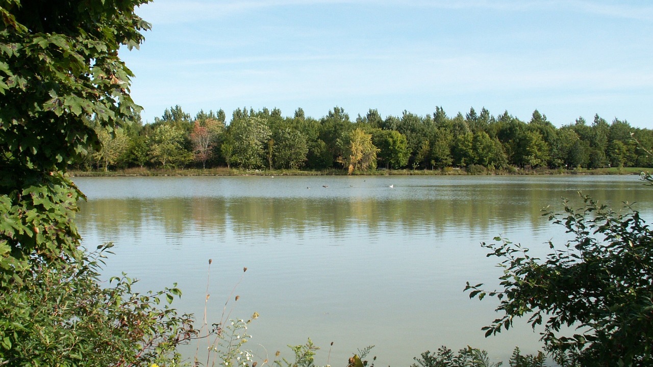 Photo of Others in Point Edward