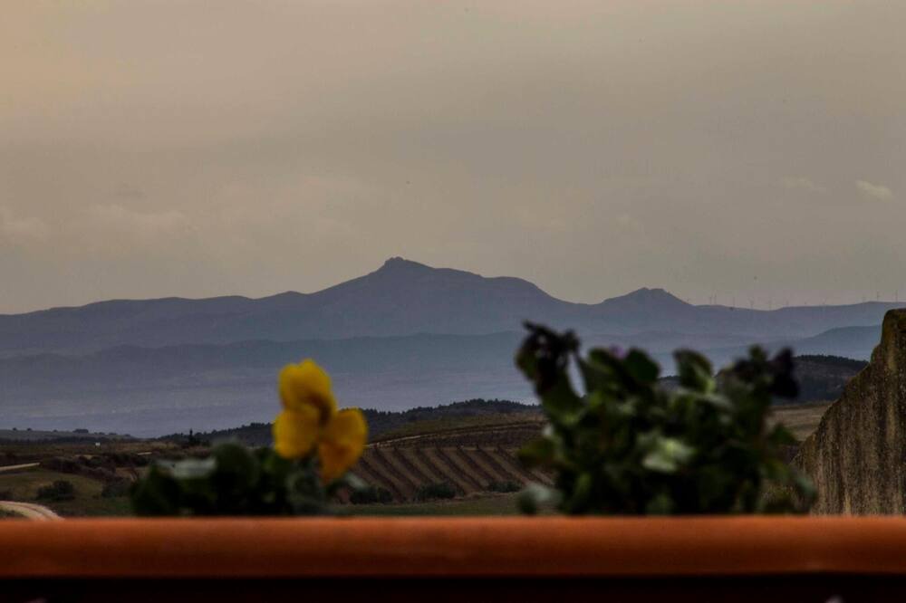 Photo of Patio Balcony in Arroniz