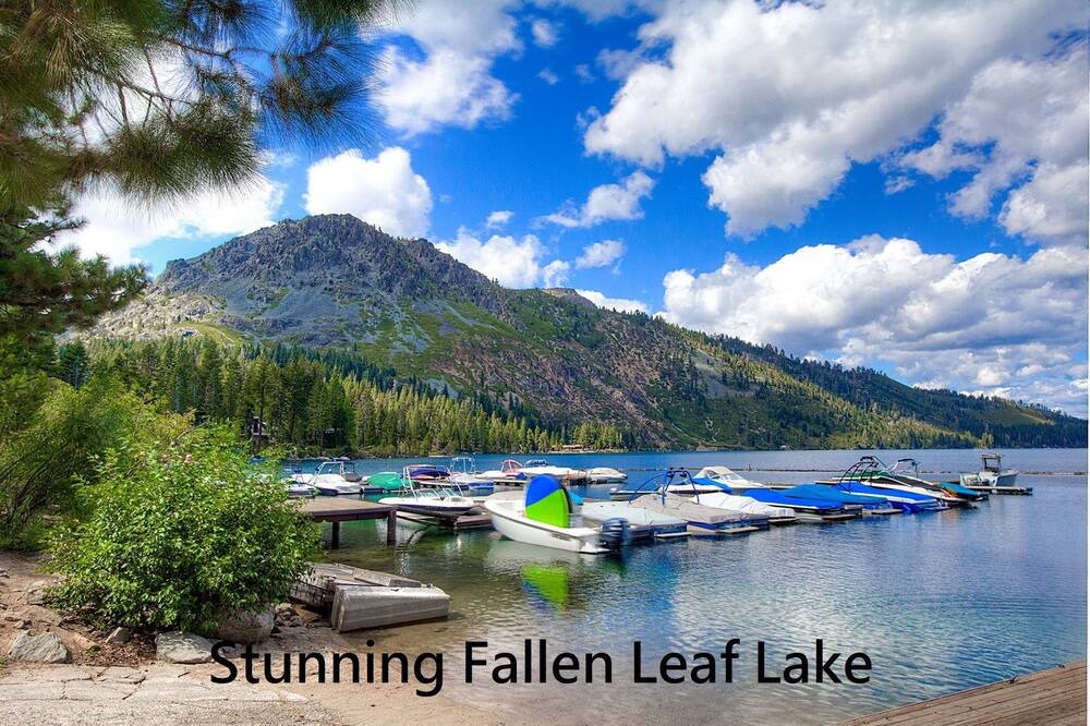 Photo of Outdoor in Fallen Leaf