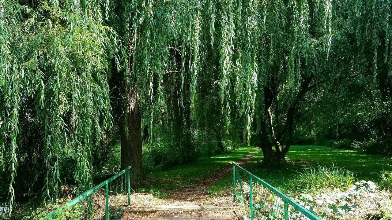 Photo of Outdoor in Seine-Port