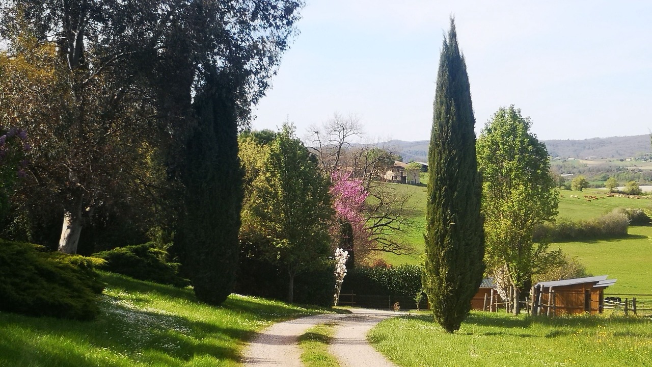 Photo of Outdoor in Castelnau-de-Montmiral
