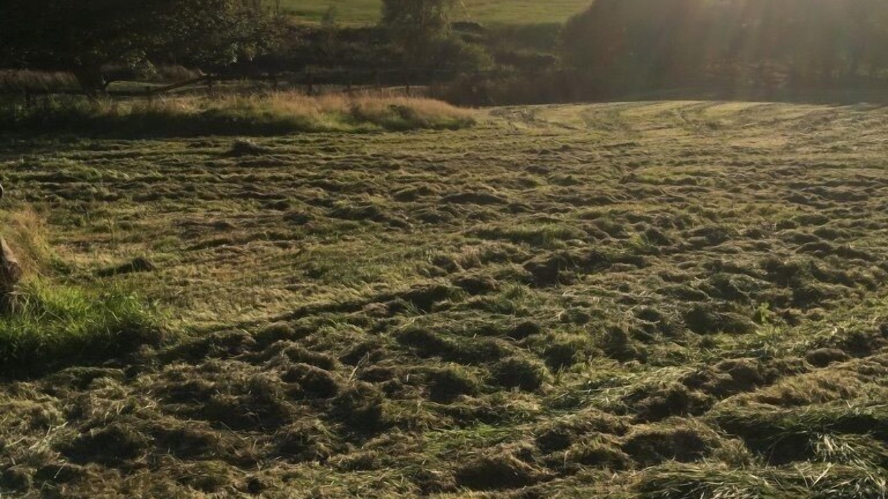 Photo of Others in Devils Bridge