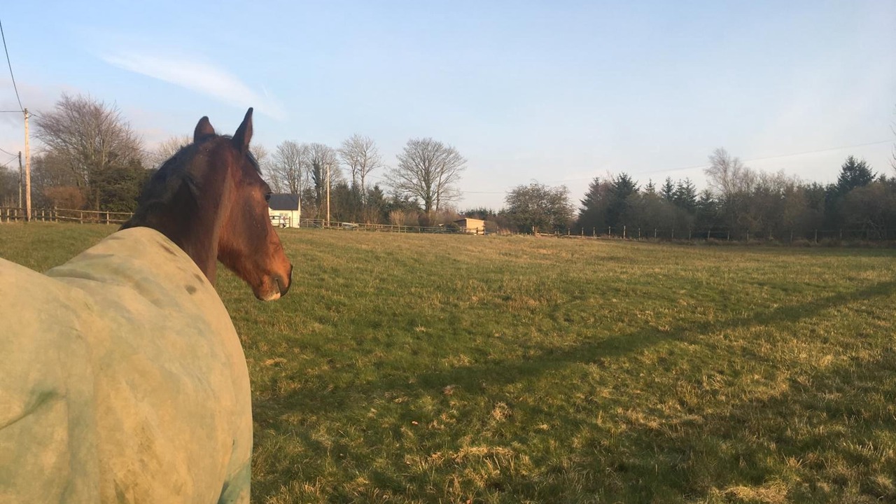 Photo of Outdoor in Devils Bridge