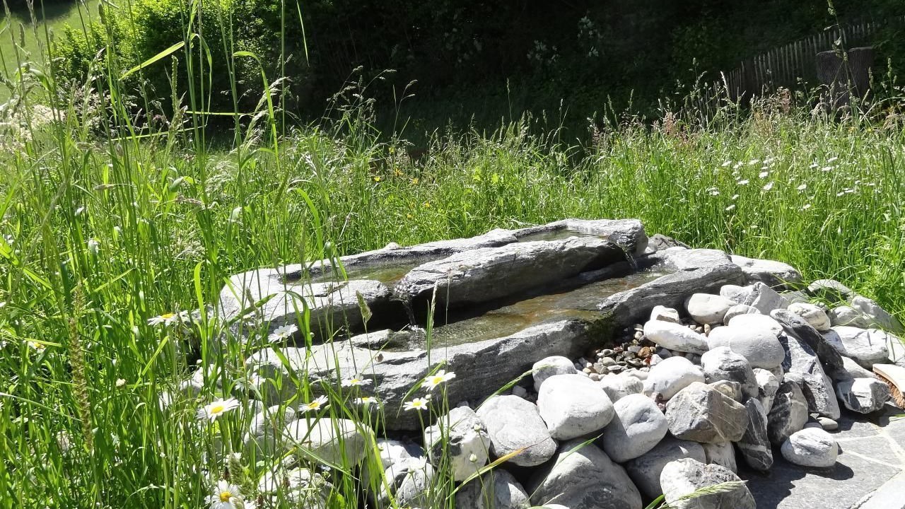 Photo of Outdoor in Pfaffikon District