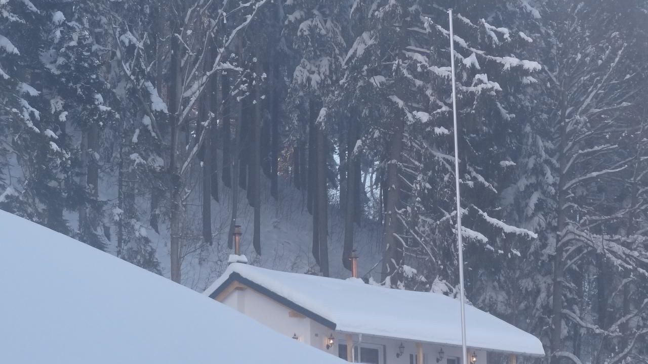 Photo of Outdoor in Pfaffikon District