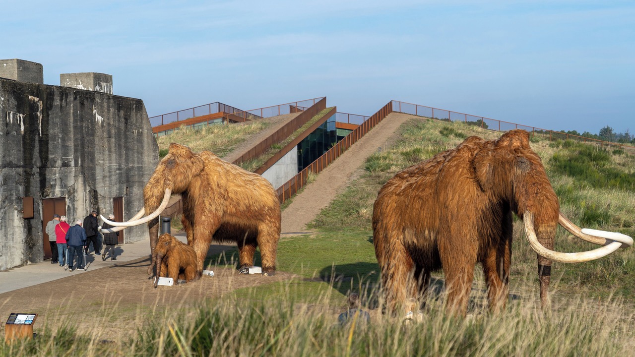 Photo of Others in Sonder Omme