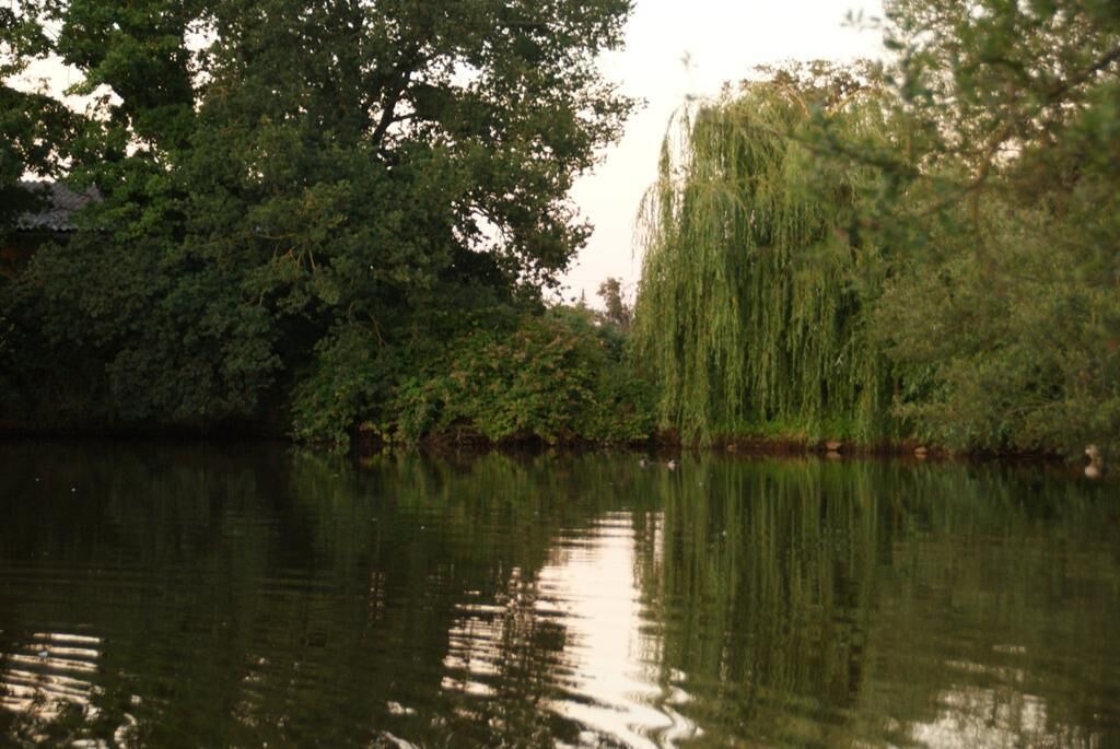 Photo of Outdoor in Saint-Laurent-des-Mortiers