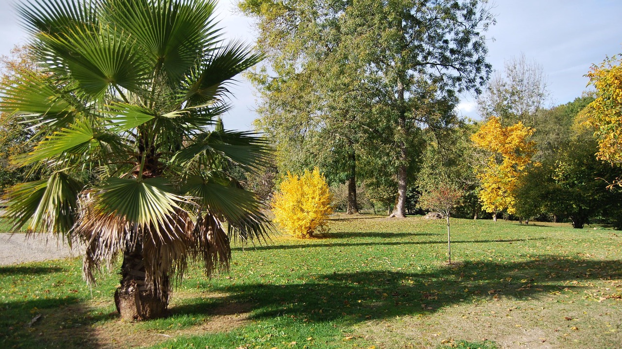 Photo of Outdoor in Cleyrac