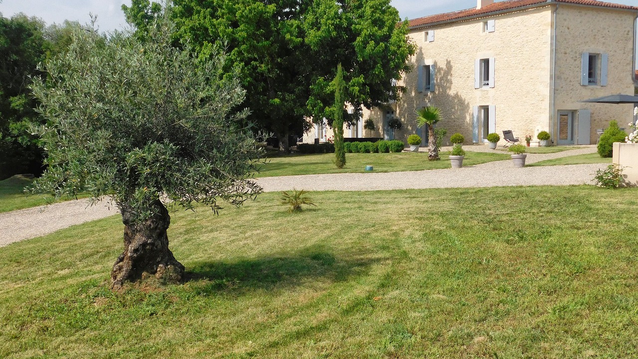 Photo of Outdoor in Cleyrac