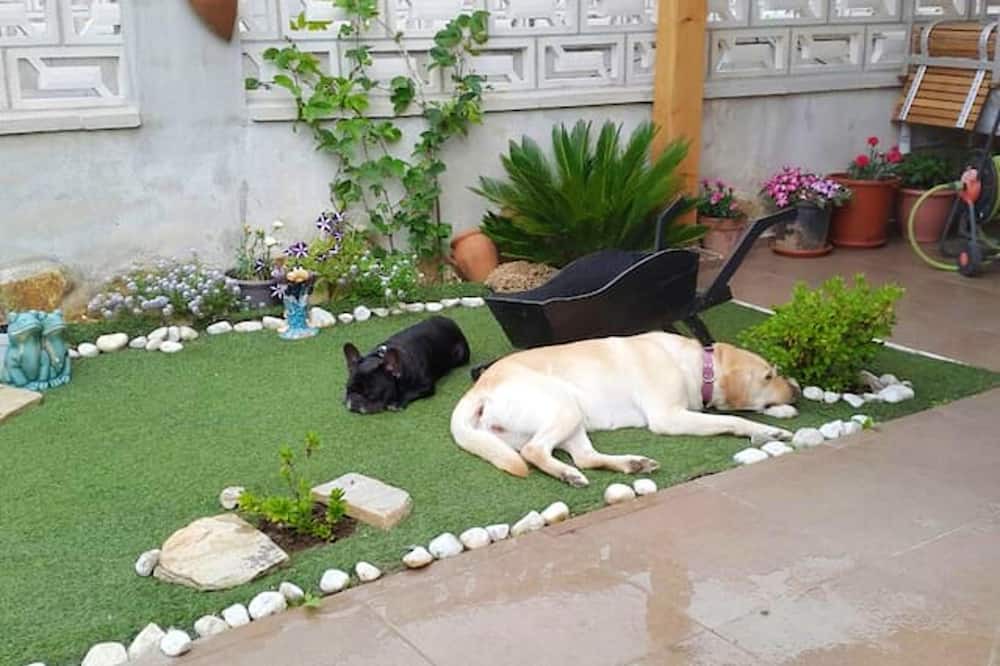 Photo of Outdoor in Ampuero