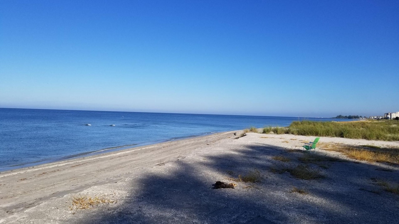 Photo of Others in Golden Beach