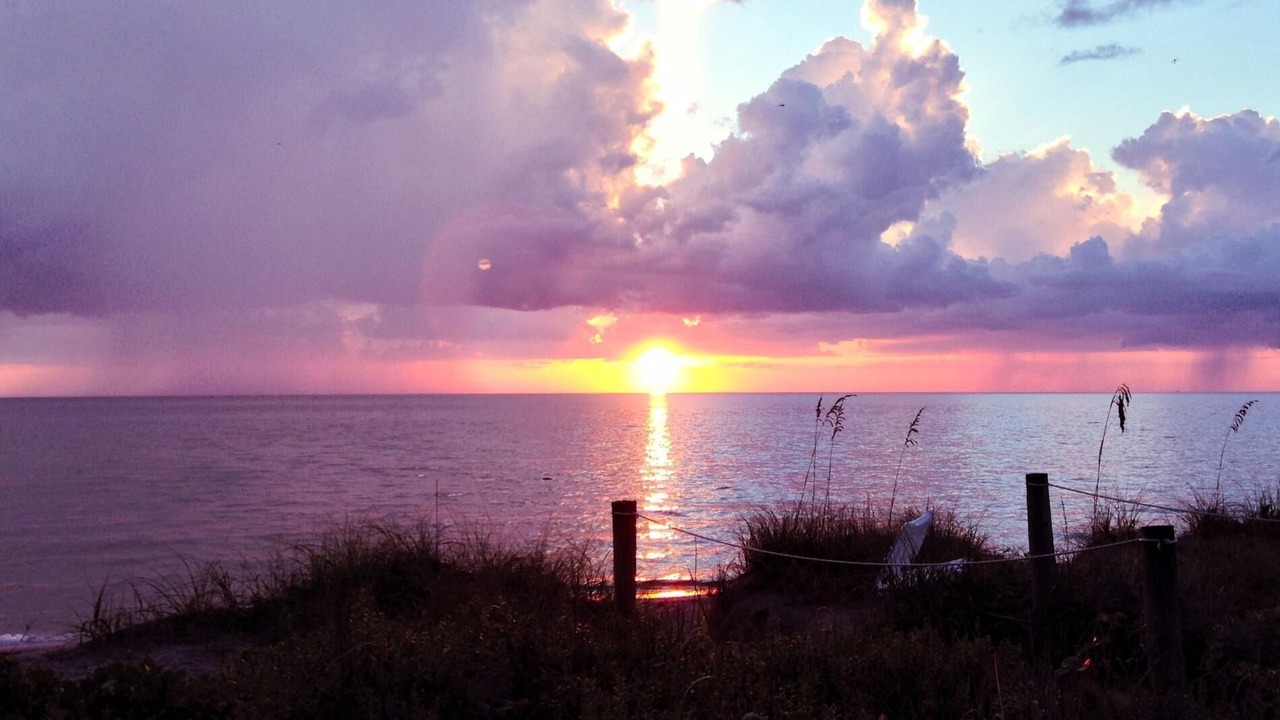 Photo of Others in Golden Beach