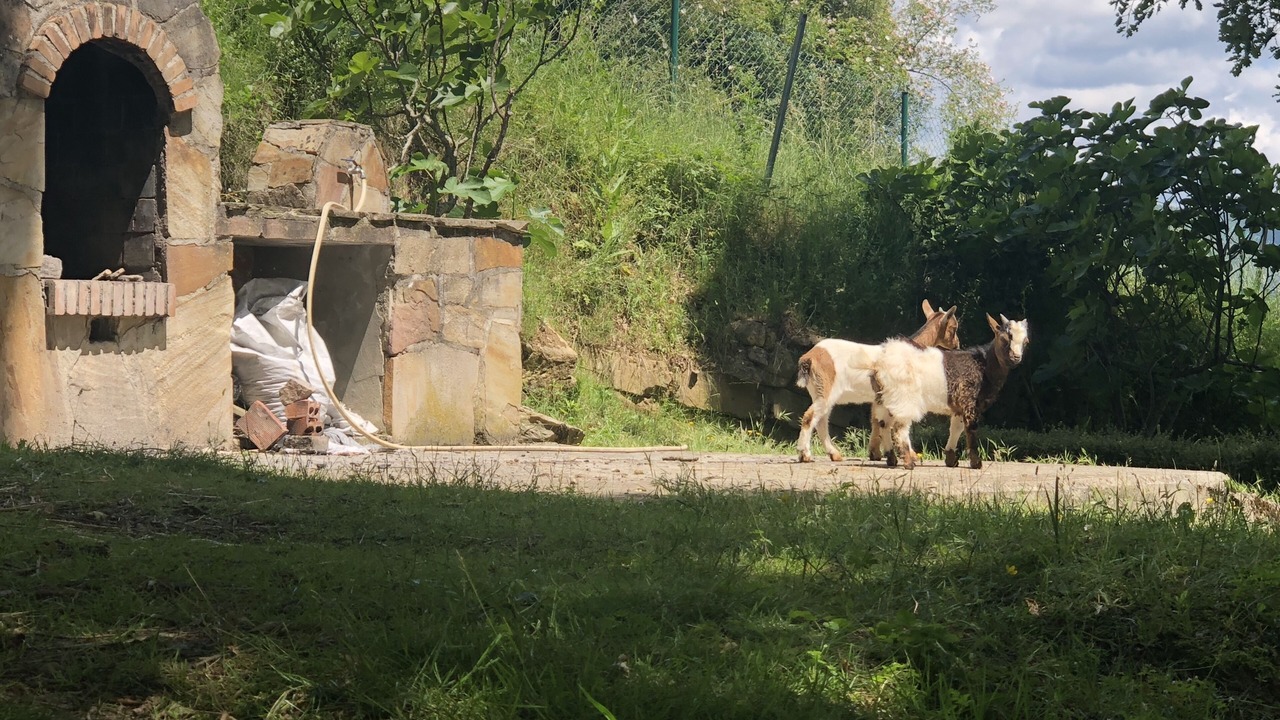 Photo of Outdoor in Ollo