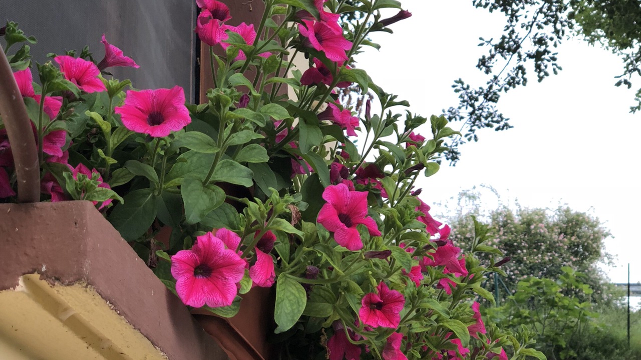 Photo of Outdoor in Ollo